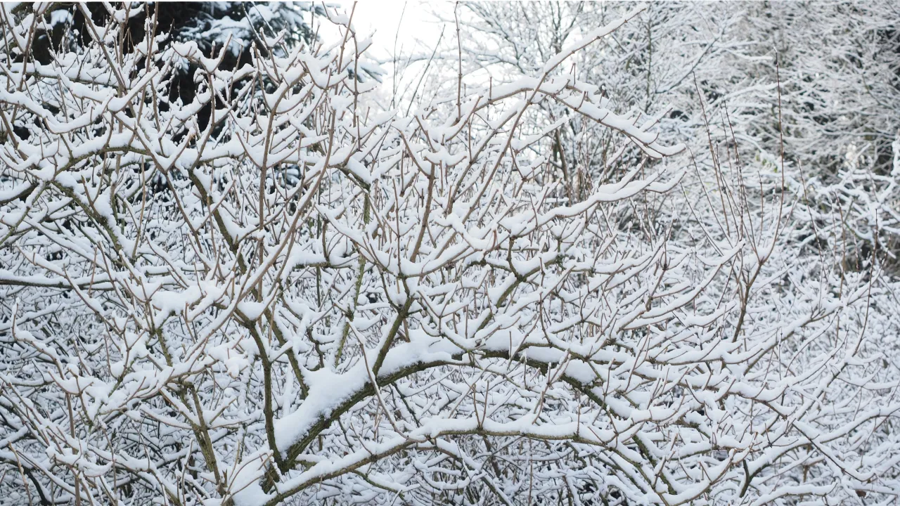 Народні прикмети 18 лютого: що зробити, щоб рік був щасливим і заможним 