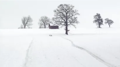 Україну накриють снігопади та «температурні гойдалки»: прогноз погоди на 18 лютого - фото