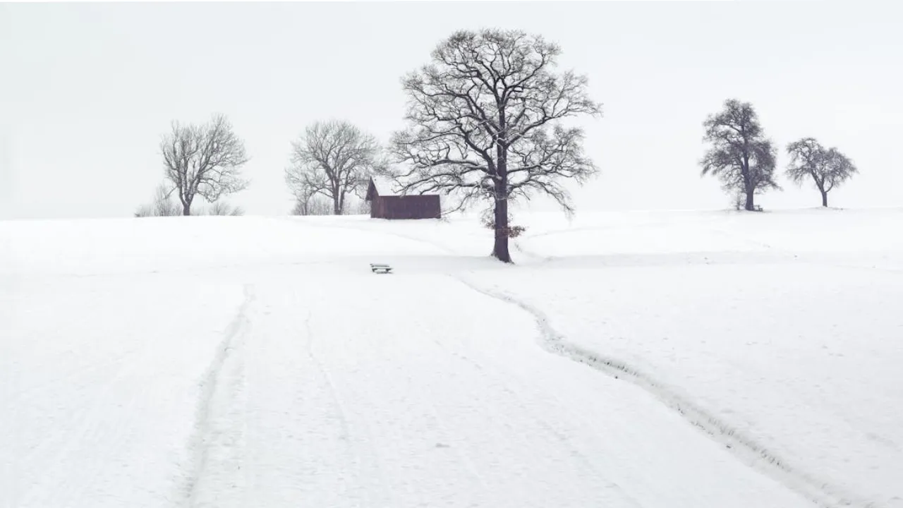 Україну накриють снігопади та «температурні гойдалки»: прогноз погоди на 18 лютого 