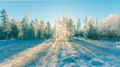 Коли в Україну прийде стійке потепління: прогнози Наталки Діденко та Укргідрометцентру - фото
