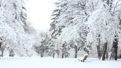 Температурні гойдалки та «весняний» стрибок до +11°C: детальний прогноз погоди до кінця тижня - фото