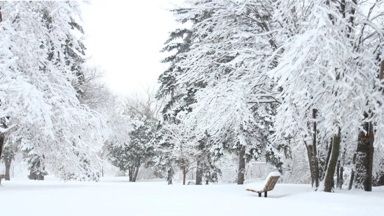 Температурні гойдалки та «весняний» стрибок до +11°C: детальний прогноз погоди до кінця тижня 