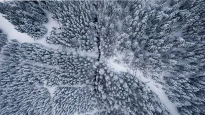 Гроші у дім та весна на поріг: що обов'язково треба зробити 19 лютого, щоб притягнути багатство - фото