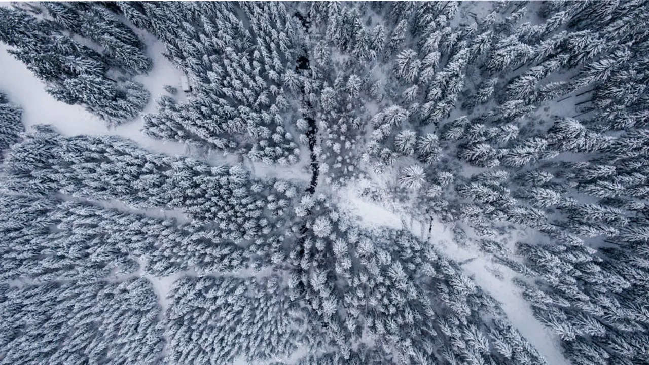 Гроші у дім та весна на поріг: що обов'язково треба зробити 19 лютого, щоб притягнути багатство 