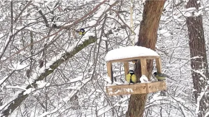 Штормові пориви та нічні -11°: погода в Україні 19 лютого принесе небезпечні сюрпризи - фото