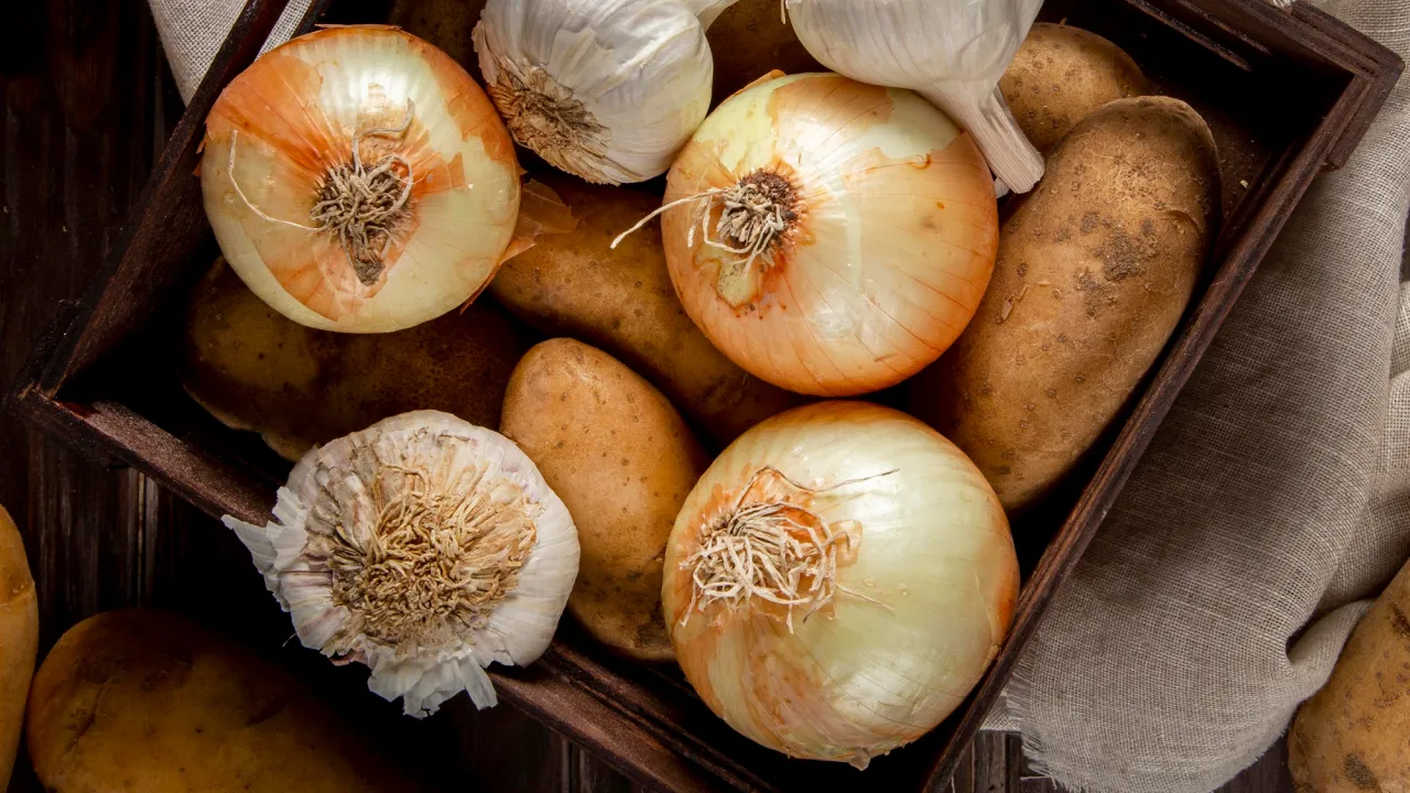 Що категорично не можна садити після цибулі: головні помилки чергування культур 