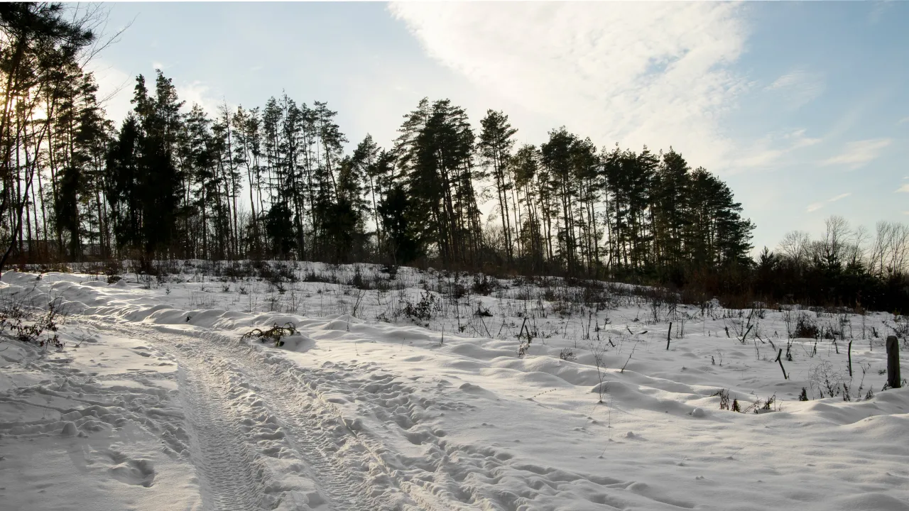 Коли в Україні потеплішає: Наталка Діденко назвала дату 