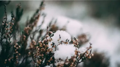 Перед відлигою до України прийдуть 18-градусні морози: синоптик здивував прогнозом - фото