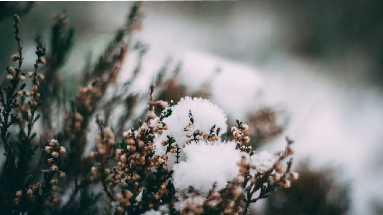 Перед відлигою до України прийдуть 18-градусні морози: синоптик здивував прогнозом 