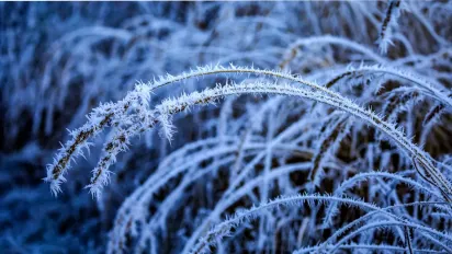 Морози до -14°C та свіжий сніг: синоптики попередили про різке похолодання в Україні 20 лютого - фото