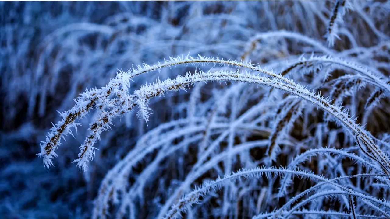 Морози до -14°C та свіжий сніг: синоптики попередили про різке похолодання в Україні 20 лютого 