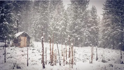 Викиньте це з дому 20 лютого: народні прикмети, заборони та що принесе удачу на весну - фото