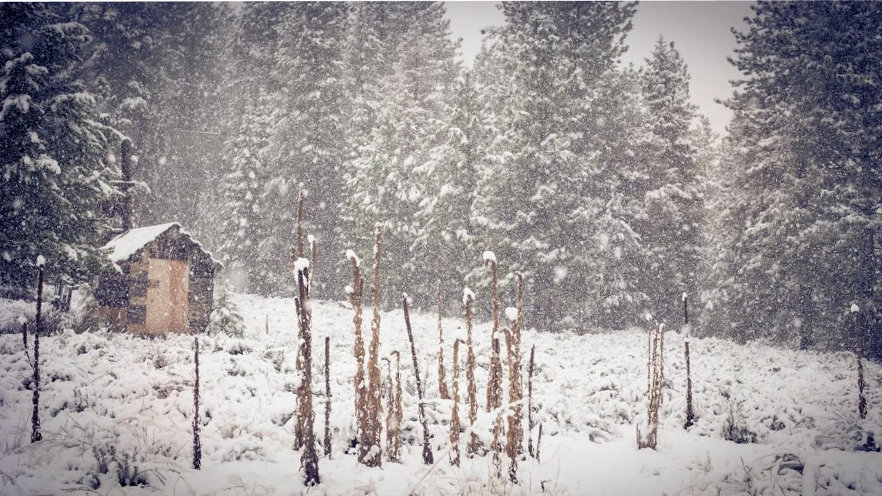 Викиньте це з дому 20 лютого: народні прикмети, заборони та що принесе удачу на весну 