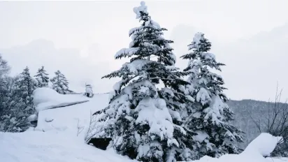 Україну накриє різке похолодання: де чекати до -13 та снігопадів у п'ятницю, 20 лютого - фото