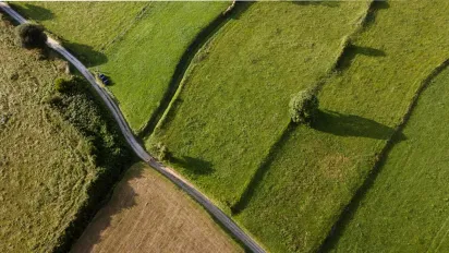 Хто має землю чи пай: українцям виплатять допомогу до 100 тисяч - як оформити - фото