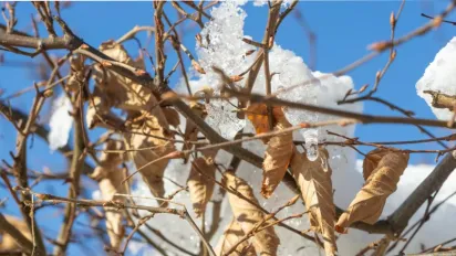 Від -22°C до перших «плюсів»: синоптик попередив про різку зміну погоди вихідними - фото