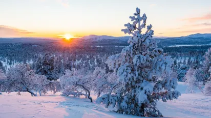 Тимофій-весновій: що категорично заборонено робити 21 лютого, щоб не втратити розум і гроші - фото