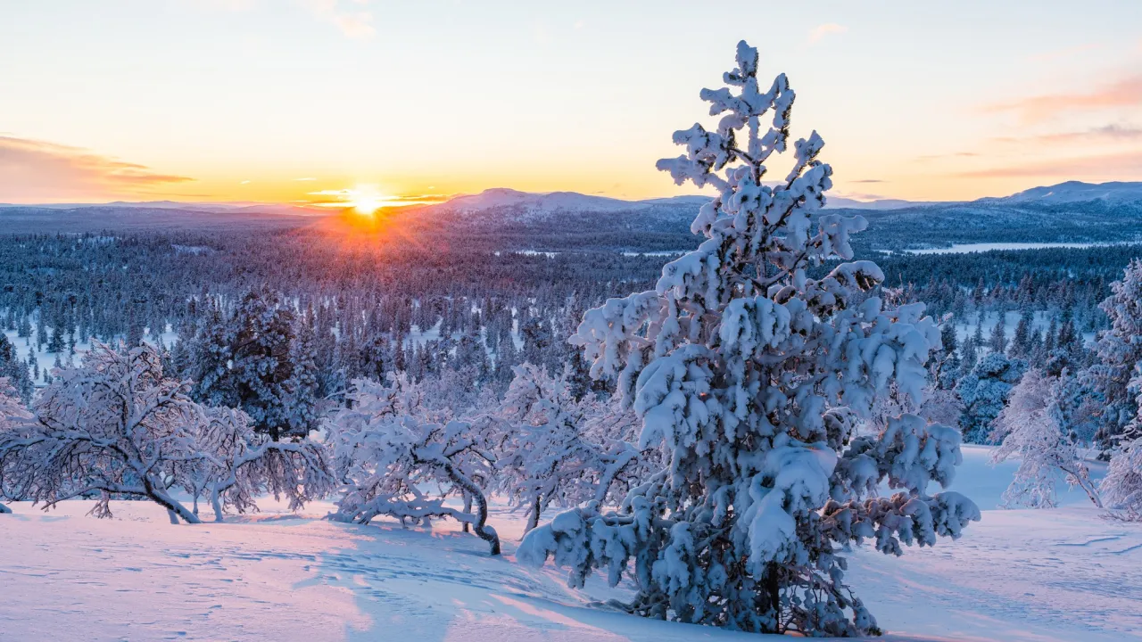 Тимофій-весновій: що категорично заборонено робити 21 лютого, щоб не втратити розум і гроші 