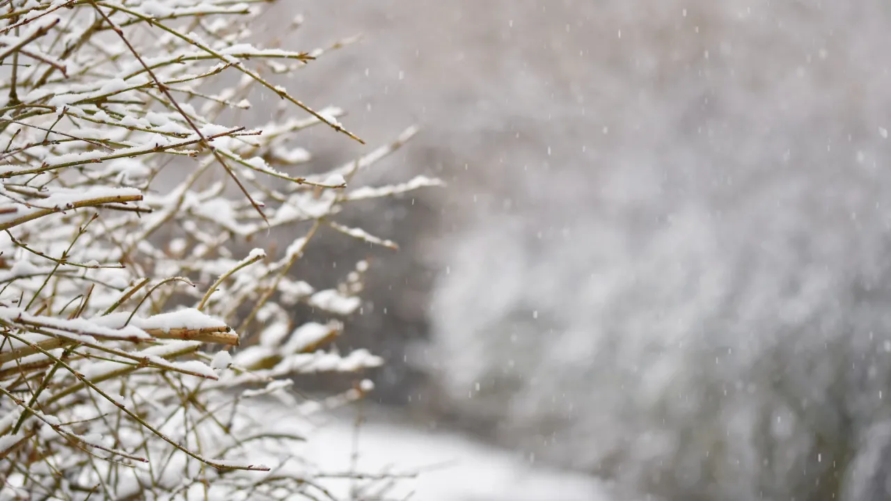 Люті морози та ожеледиця: в яких областях України на вихідних температура впаде до -22 градусів 