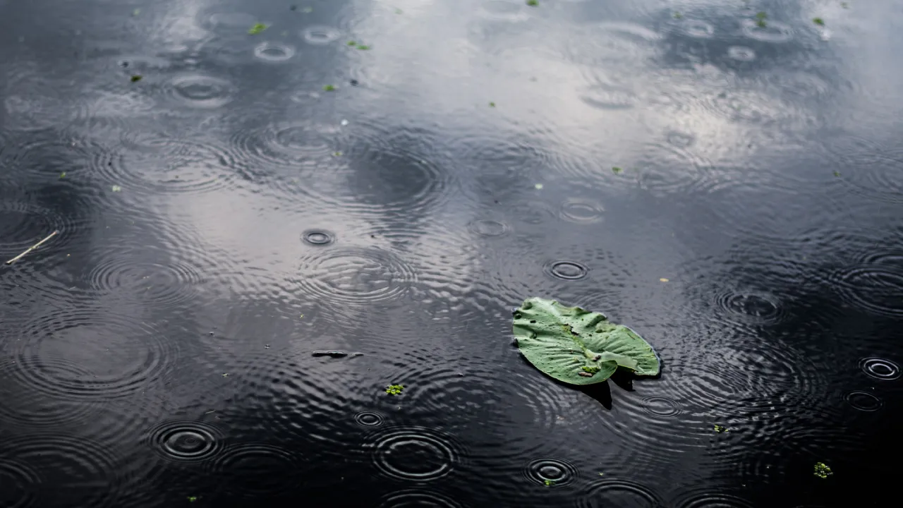 Готуйтеся до підтоплень: синоптики попередили про різку зміну погоди 