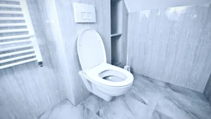 Навіщо сипати сіль в унітаз: лайфхак, який назавжди прибере неприємний запах - фото