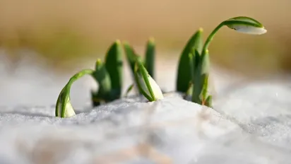 Обретіння голови Іоана Хрестителя 24 лютого: головні заборони та прикмети дня - фото