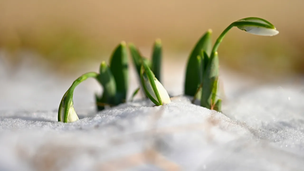 Обретіння голови Іоана Хрестителя 24 лютого: головні заборони та прикмети дня 