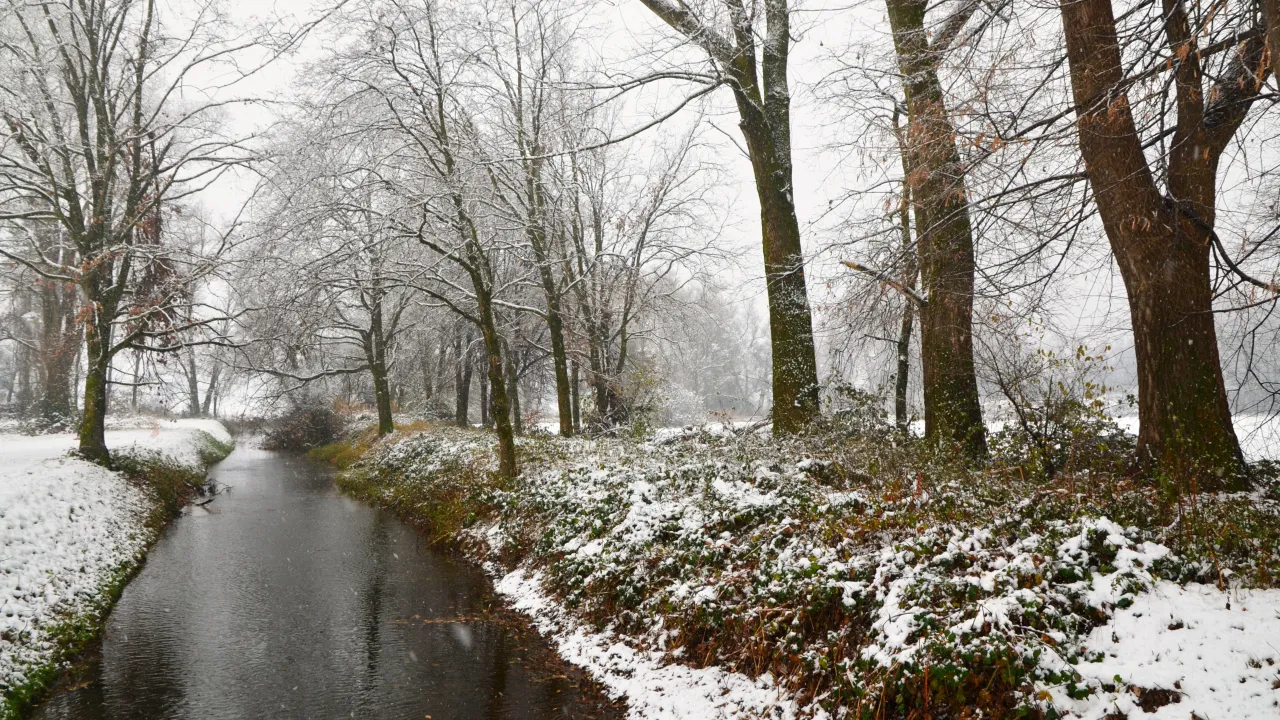 "Дощі, мокрий сніг та ожеледиця: синоптики попередили про небезпечну погоду в Україні 25 лютого 