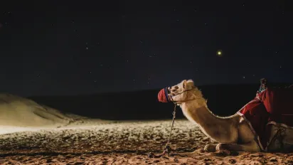 Три знаки Зодіаку зірвуть джекпот до кінця березня-2026: кому весна принесе золоті гори - фото