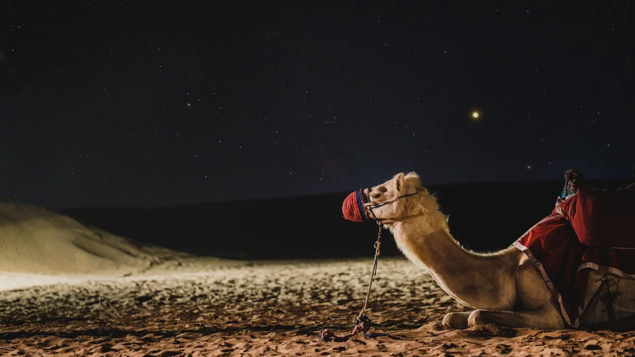 Три знаки Зодіаку зірвуть джекпот до кінця березня-2026: кому весна принесе золоті гори 