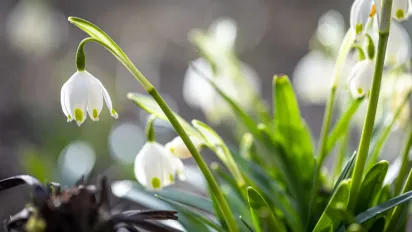 Синоптики розказали, яка погода чекає на українців у березні - фото