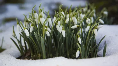 Температурний стрибок: синоптики попередили про «стиснуту» весну та аномальний травень у 2026 році - фото