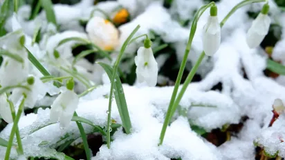 Морози до -13 вдарять по Україні в середині березня — прогноз синоптиків - фото