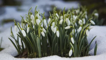 Весна з «сюрпризами»: синоптик розповів, коли в березні вдарять морози до -13 градусів - фото