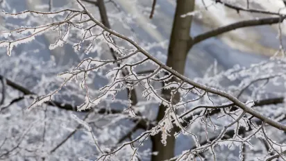 День Василя Теплого: чому 28 лютого вважали найбільш небезпечним днем року та як захистити оселю - фото