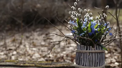 Весна вривається з +12: синоптик дав прогноз на вихідні - фото