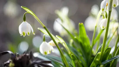 Якою буде погода у березні 2026: детальний прогноз - фото