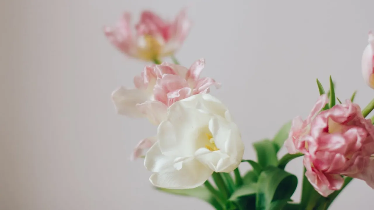 Вихідний на Міжнародний жіночий день: як працюватимемо та відпочиватимемо 