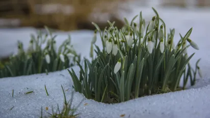 Погода в Україні у березні 2026: у яких регіонах після потепління вдарять морози до -13°C - фото