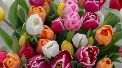 Скасування 8 березня: у Раді пропонують запровадити нове свято - фото