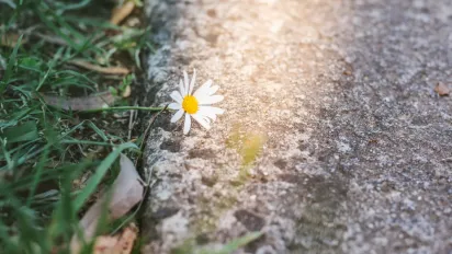 Україну накриє антициклон: синоптики розповіли, якою буде погода 7 березня - фото