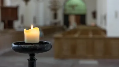 Вербоносиця 2026: що обов'язково принести в дім 8 березня для захисту оселі - фото