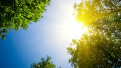 Весна йде на рекорд: в Україну повертається тепло до +15 градусів - фото