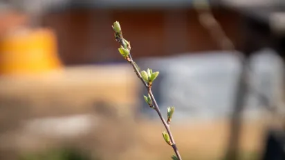 Україну розігріє до +18°: детальний прогноз погоди на тиждень - фото