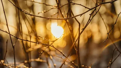 Україну розігріє до +16°: прогноз погоди на 10 березня - фото