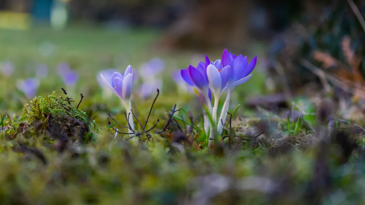 В Україну йде похолодання: прогноз синоптика 