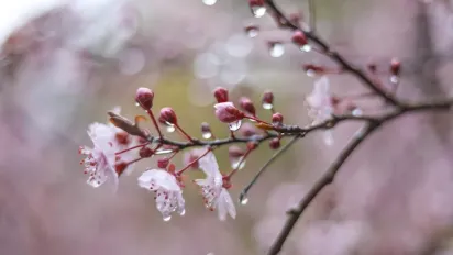 Після сонячних днів - дощі: синоптик попередив про зміну погоди в Україні - фото
