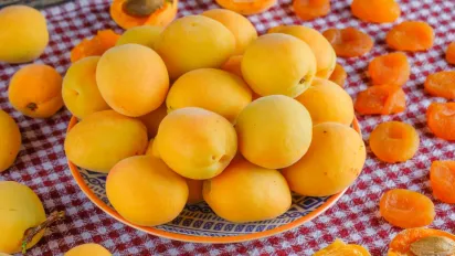 Абрикоси збиратимете відрами: головна садова процедура, яку треба встигнути до кінця березня - фото