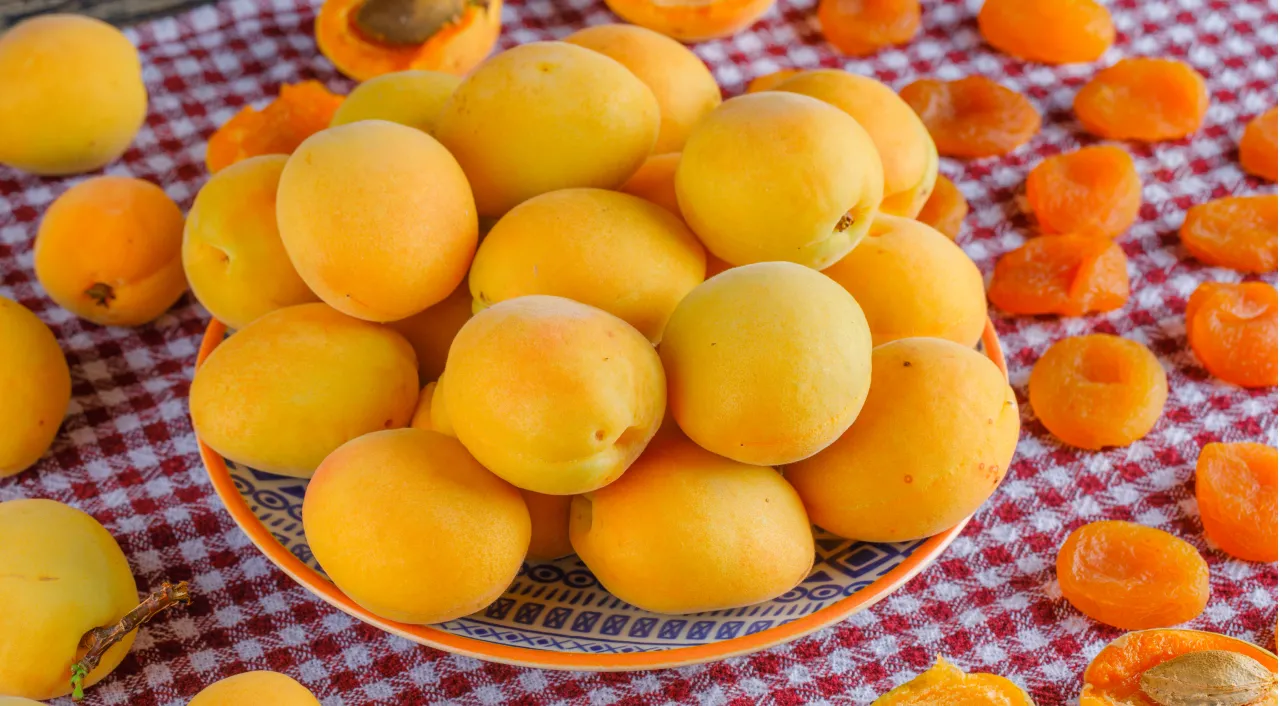 Абрикоси збиратимете відрами: головна садова процедура, яку треба встигнути до кінця березня 