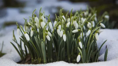 В Україну йде похолодання з мокрим снігом: синоптик розповів, коли зміниться погода - фото